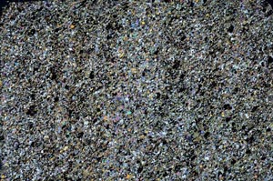 Cross Polarized, S56186