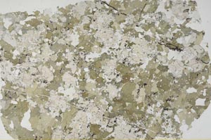 Plane Polarized, S56188