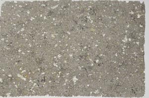 Plane Polarized, S56191