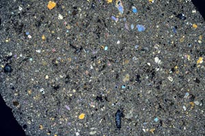 Cross Polarized, S56191/A