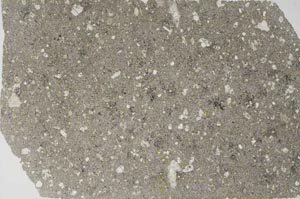 Plane Polarized, S56191/A