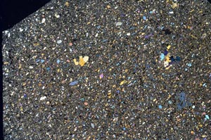 Cross Polarized, S56192