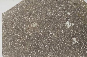 Plane Polarized, S56192