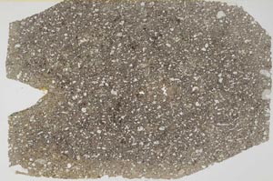 Plane Polarized, S56192/A