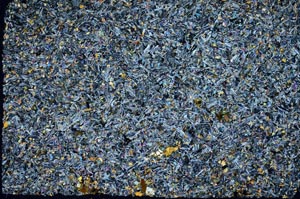 Cross Polarized, S56195