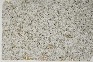 Plane Polarized, S56195