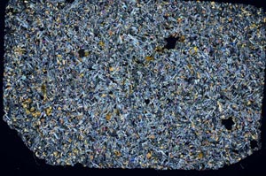 Cross Polarized, S56195/A