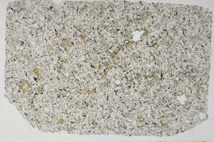 Plane Polarized, S56195/A