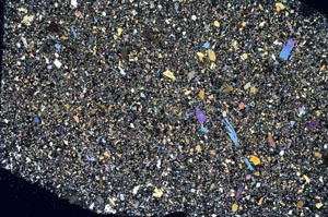 Cross Polarized, S56196/A