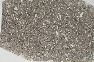 Plane Polarized, S56196/A