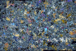 Cross Polarized, S56197