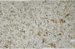 Plane Polarized, S56197