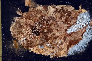 Cross Polarized, S56198