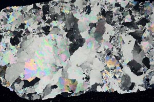 Cross Polarized, S56199