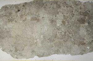 Plane Polarized, S56199