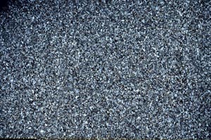 Cross Polarized, S56201