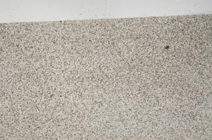 Plane Polarized, S56205