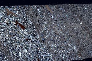 Cross Polarized, S56209