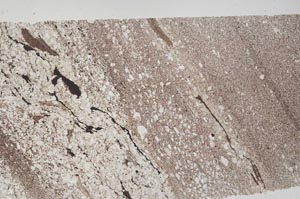 Plane Polarized, S56209