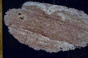 Cross Polarized, S56211