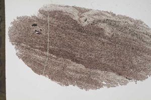 Plane Polarized, S56211