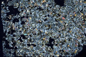 Cross Polarized, S56230