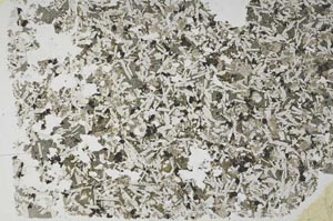 Plane Polarized, S56230