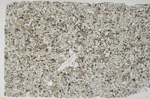 Plane Polarized, S56231