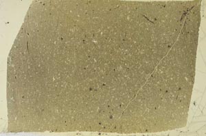 Plane Polarized, S56246