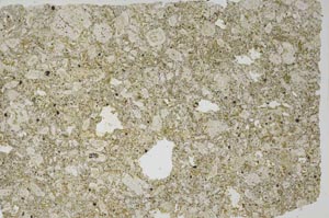 Plane Polarized, S56248