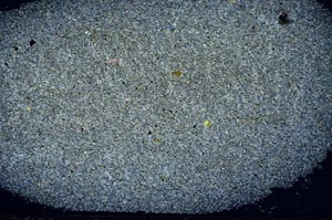 Cross Polarized, S56250