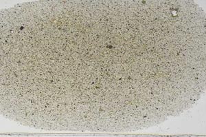 Plane Polarized, S56250