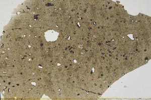 Plane Polarized, S56251