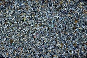 Cross Polarized, S56253