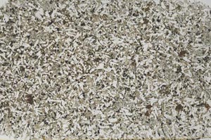 Plane Polarized, S56253