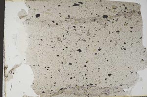 Plane Polarized, S56254