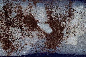 Cross Polarized, S56255