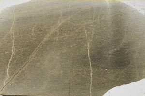Plane Polarized, S56256
