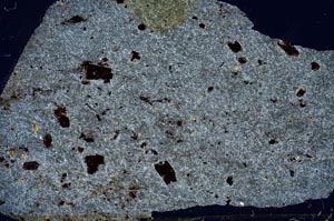 Cross Polarized, S56257