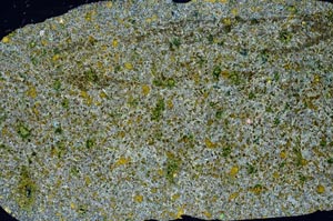 Cross Polarized, S56259