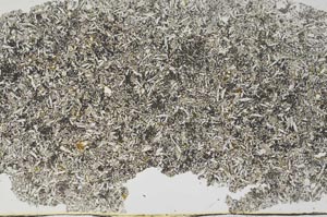 Plane Polarized, S56260