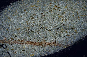 Cross Polarized, S56262