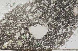 Plane Polarized, S56263
