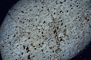 Cross Polarized, S56267