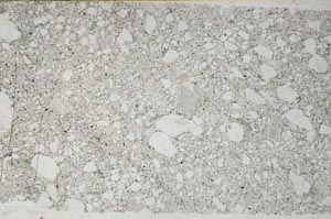 Plane Polarized, S56268