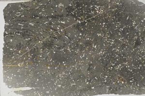 Plane Polarized, S56270