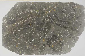 Plane Polarized, S56270/A