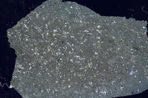 Cross Polarized, S56271