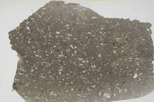 Plane Polarized, S56271