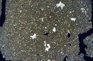 Cross Polarized, S56273